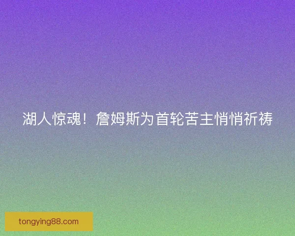 湖人惊魂！詹姆斯为首轮苦主悄悄祈祷