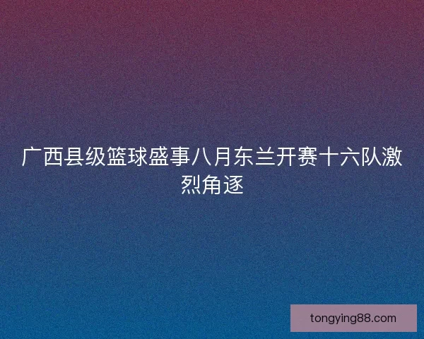 广西县级篮球盛事八月东兰开赛十六队激烈角逐